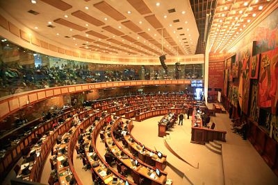 Asamblea Nacional abre el debate de la ley que garantiza el aborto de violaci&oacute;n