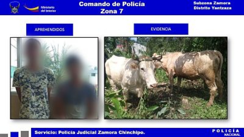 Rápida acción policial