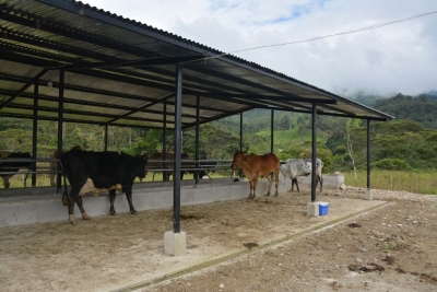 Prefectura contribuye a la construcci&oacute;n de establos en El Pangui