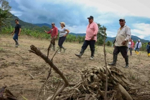 Prefectura eval&uacute;a cifras productivas perdidas durante emergencia invernal