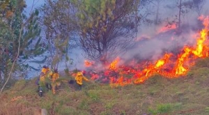 Gobierno activa instituciones para combatir incendio en Quilanga