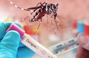 Se confirman los 4 primeros fallecidos por dengue en Ecuador