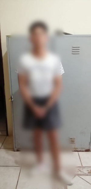 Operativo antinarc&oacute;ticos denominado "Ca&ntilde;a Verde" deja como resultado un detenido dedicado presuntamente al microtr&aacute;fico en Zamora