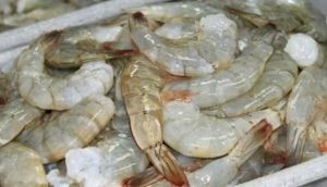 China asegura que detect&oacute; el coronavirus en paquetes de camarones de Ecuador