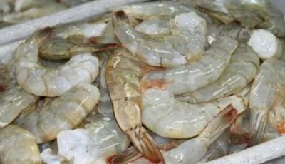China asegura que detect&oacute; el coronavirus en paquetes de camarones de Ecuador