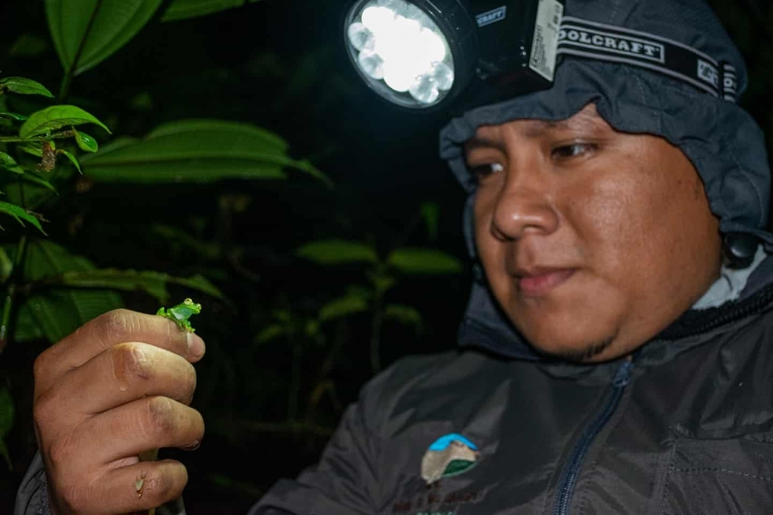 Monitoreo de anfibios en el Refugio de Vida Silvestre El Zarza refuerza los valores de conservación