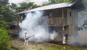 Campa&ntilde;a de fumigaci&oacute;n contra el dengue en Tundayme
