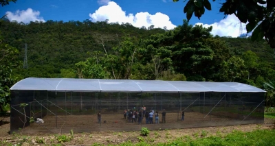 ECSA inaugur&oacute; invernadero en la comunidad Numpaim San Carlos