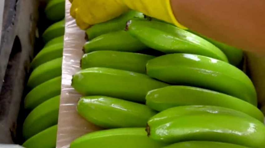 Ministra de Producción y Comercio Exterior se refirió a la suspensión de Rusia a cinco exportadores de banano