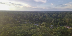 Ecuador incorpora nuevas hect&aacute;reas de bosque protegido en su reserva natural