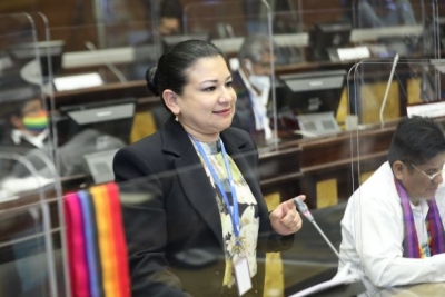ASAMBLE&Iacute;STA ENRR&Iacute;QUEZ PRESENTA APORTES PARA LOEI, OBSERVADAS POR LA CORTE CONSTITUCIONAL