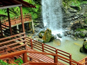 Guayacanes: un circuito natural que cautiva