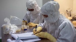 Un nuevo coronavirus en murci&eacute;lagos evidencia que el virus del covid-19 no fue creado en laboratorio