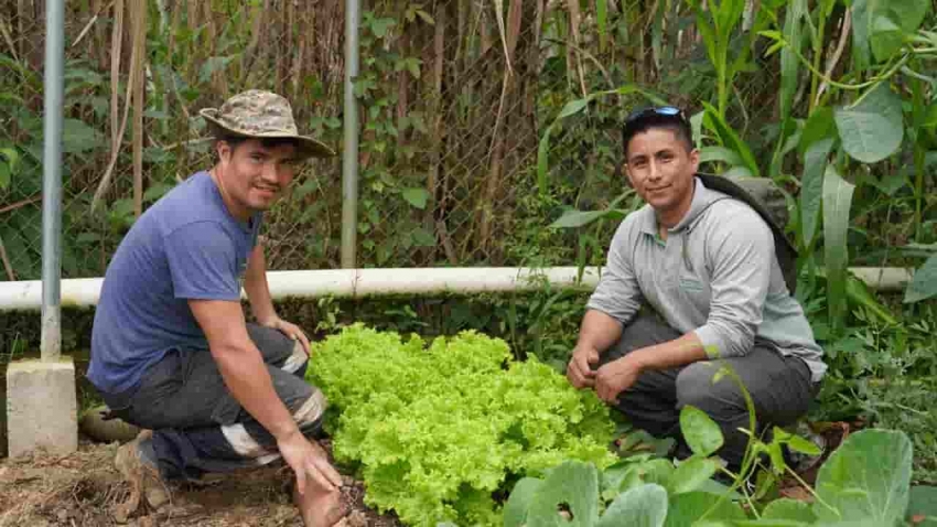 AGROPZACHIN fortalece la producción agrícola con la construcción de  huertos e invernaderos en Yantzaza
